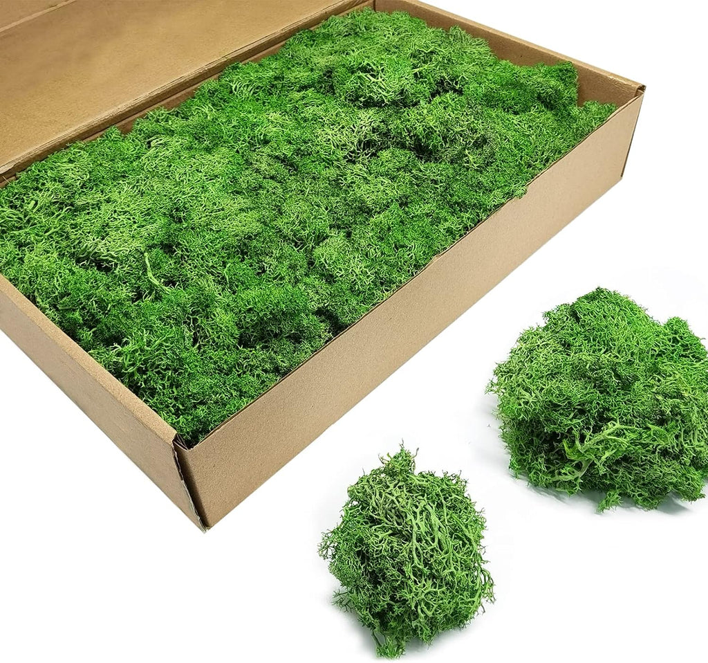 TurelinnG Preserved Moss 3 OZ Reindeer Craft Moss, Fake Moss Suitable for Flowerbeds, Crafts, Home Office Artistic Decoration Green