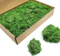 TurelinnG Preserved Moss 3 OZ Reindeer Craft Moss, Fake Moss Suitable for Flowerbeds, Crafts, Home Office Artistic Decoration Green
