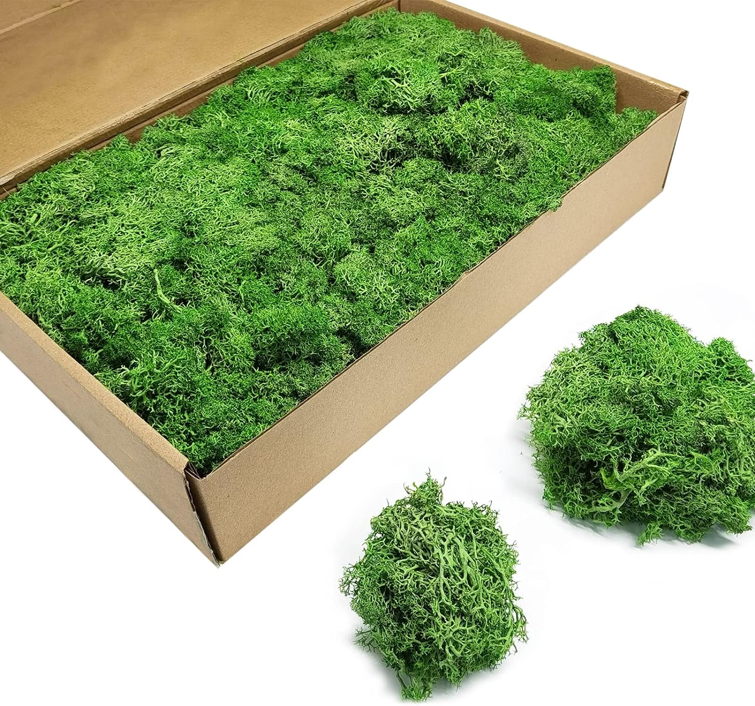 TurelinnG Preserved Moss 3 OZ Reindeer Craft Moss, Fake Moss Suitable for Flowerbeds, Crafts, Home Office Artistic Decoration Green