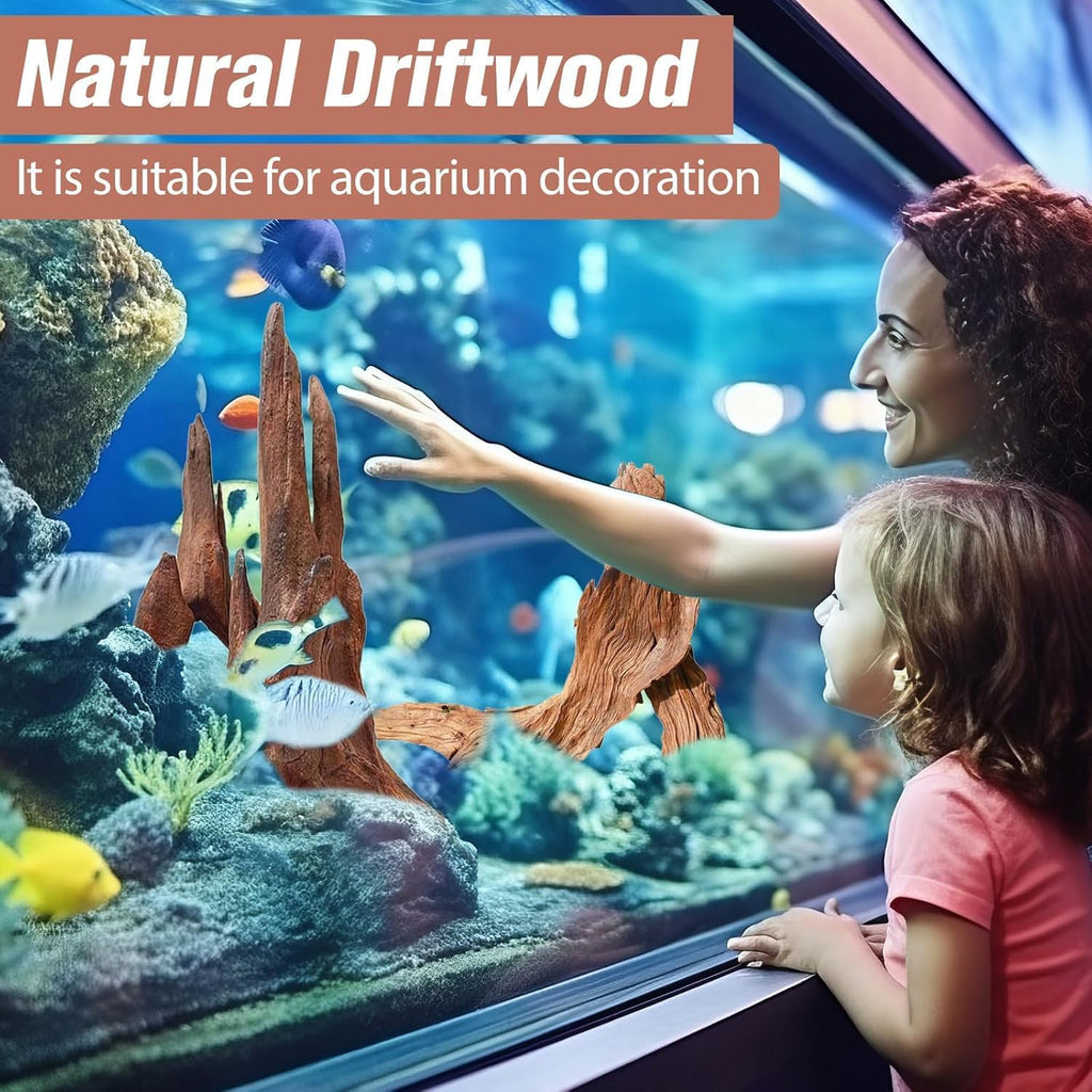 5-Piece 4-8 Inches Natural Aquarium Driftwood Decorations - Aquascape Decor for Fish Tanks, Betta Hideouts, Reptile Enclosures & Plant Attachment