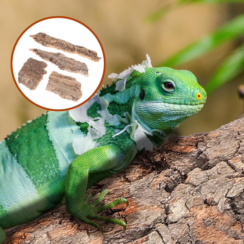 4pcs Reptile Bark Decor Wood Reptile Terrarium Bark Decor Cork Barks Hide for Spider Lizard, Light Brown, 5. 11 X 1. 49 X 0. 39 Inch
