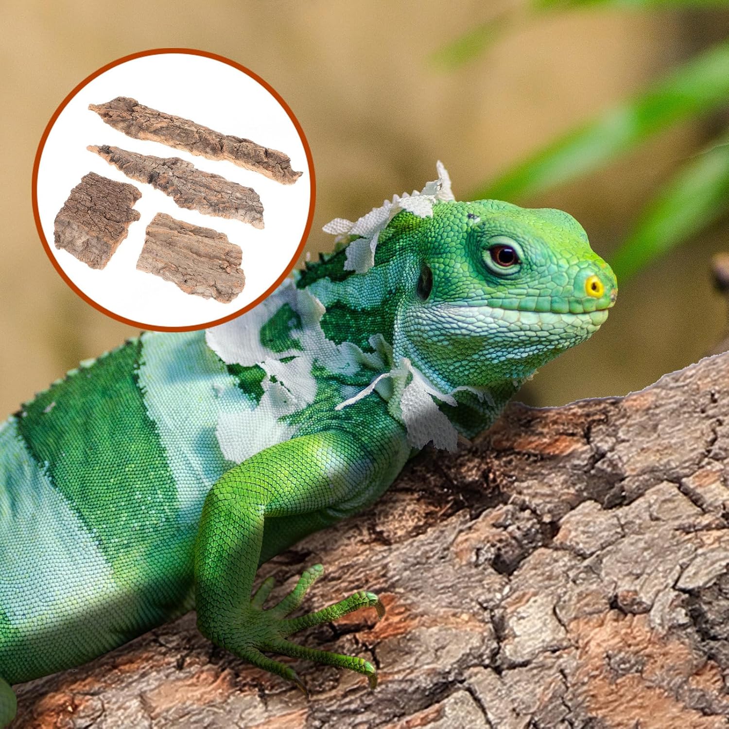 4pcs Reptile Bark Decor Wood Reptile Terrarium Bark Decor Cork Barks Hide for Spider Lizard, Light Brown, 5. 11 X 1. 49 X 0. 39 Inch