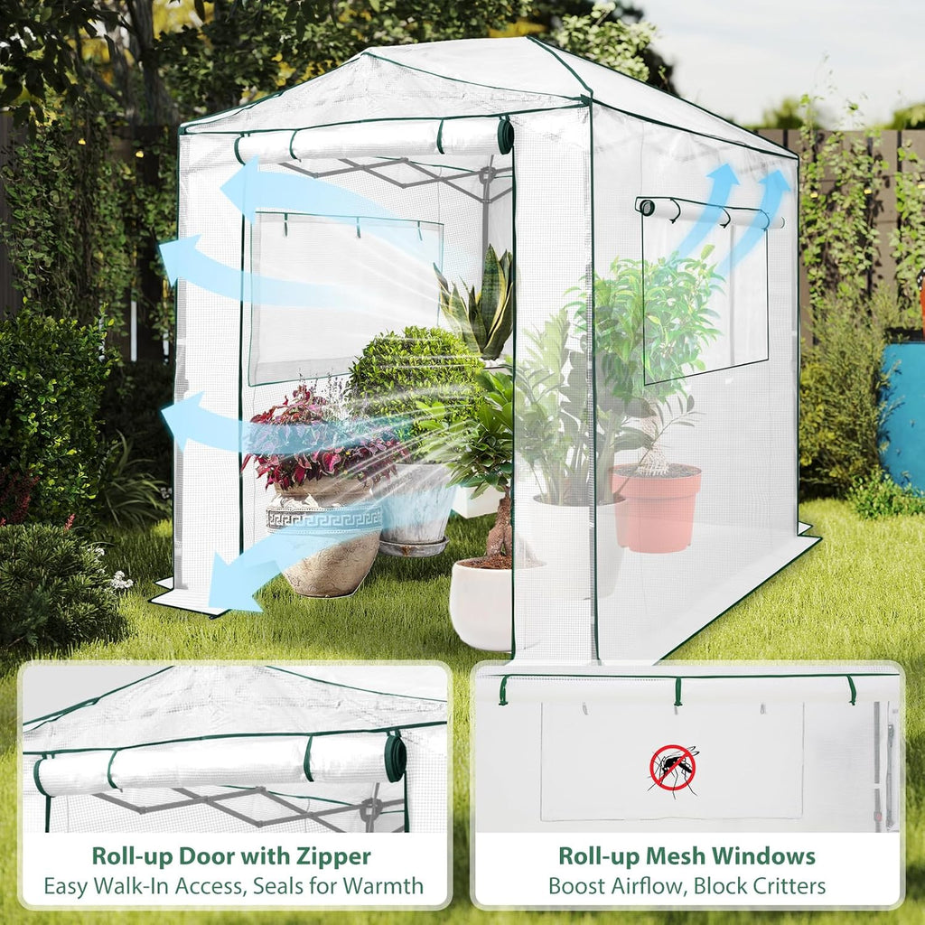 EAGLE PEAK Instant Pop-up Greenhouse, Indoor Outdoor Plant Gardening Green House, Roll-Up Zipper Doors and Side Windows, Walk in 8x6 ft, White/Clear