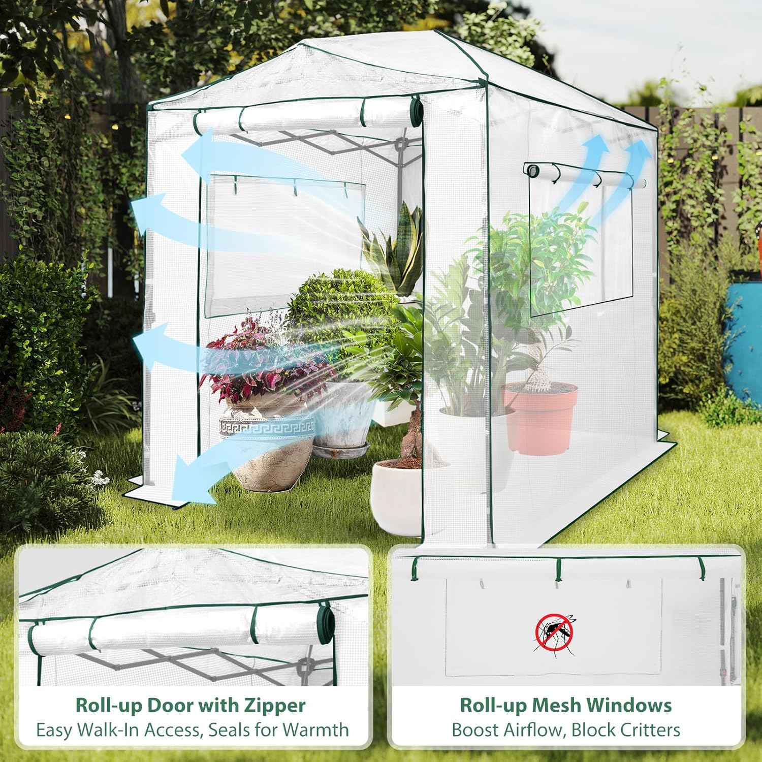 EAGLE PEAK Instant Pop-up Greenhouse, Indoor Outdoor Plant Gardening Green House, Roll-Up Zipper Doors and Side Windows, Walk in 8x6 ft, White/Clear