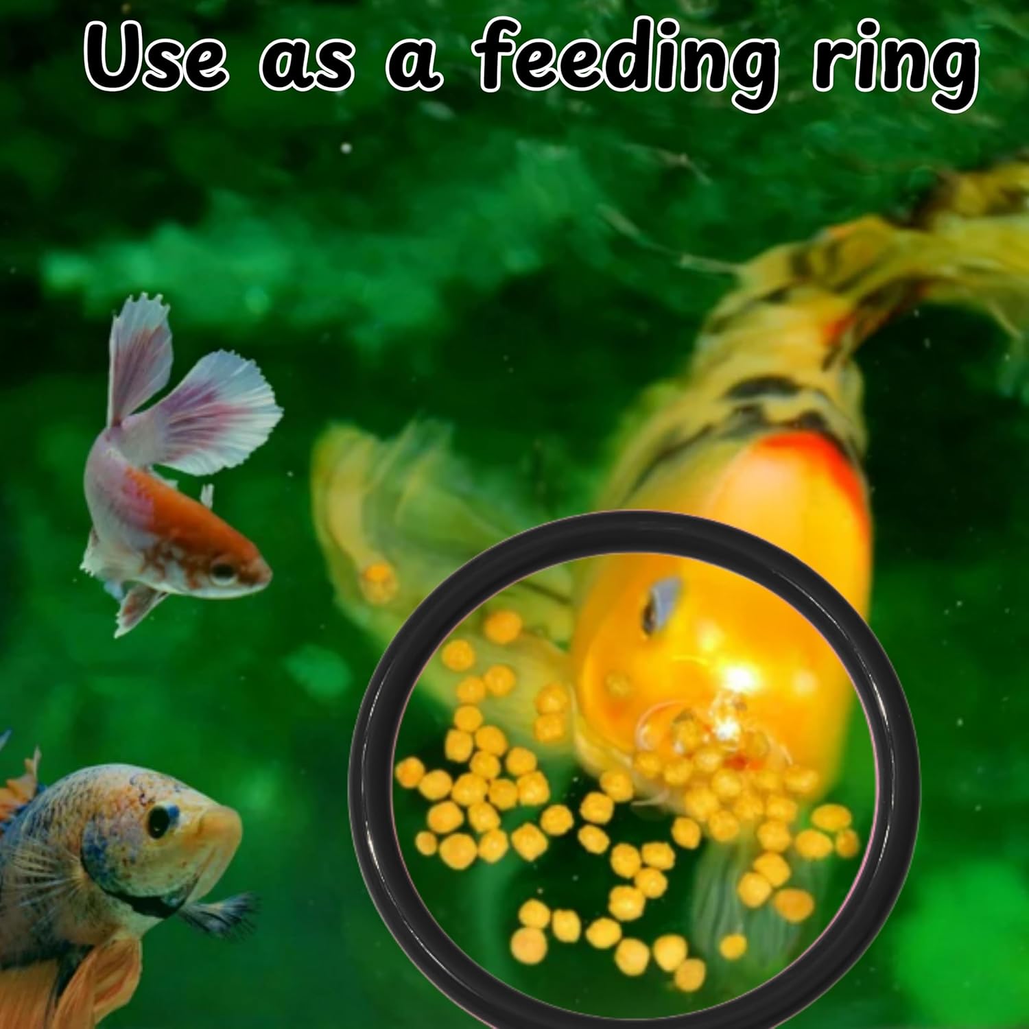 Betta Ring and Mirror Toy for Aquarium, 2 pcs Betta Ring Enrichment Toys, Floating Exercise Mirrors for Fish Tank and Training Feeding Rings, Fish Toys, Aquarium Accessories (Black, M-Heart)
