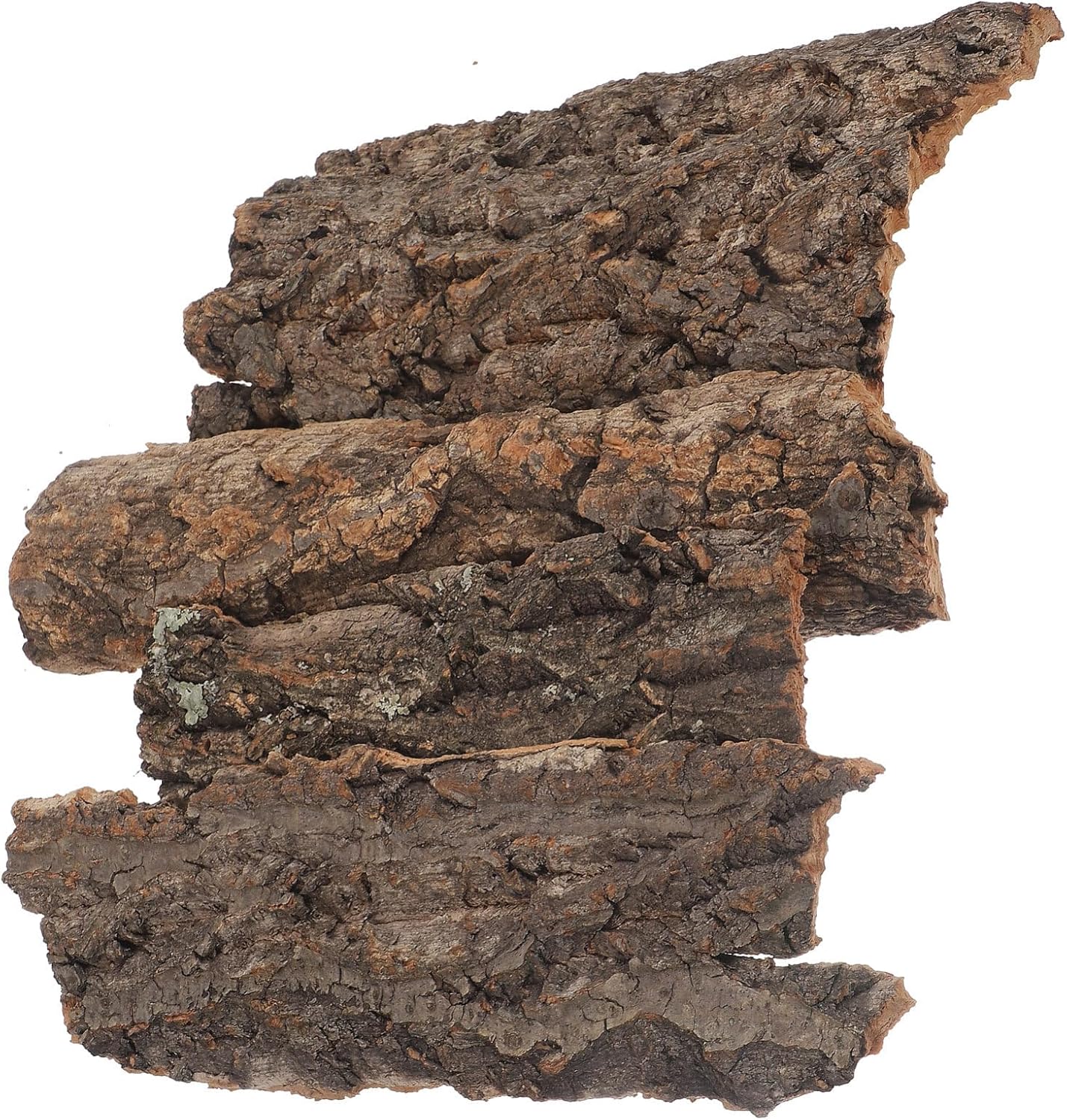 balacoo Terrarium Tree Bark: 4pcs Reptile Bark Decoration Natural Cork Bark Backdrop Reptile Tank Background Leopard Cork Bark - Tarantula Enclosure Accessories