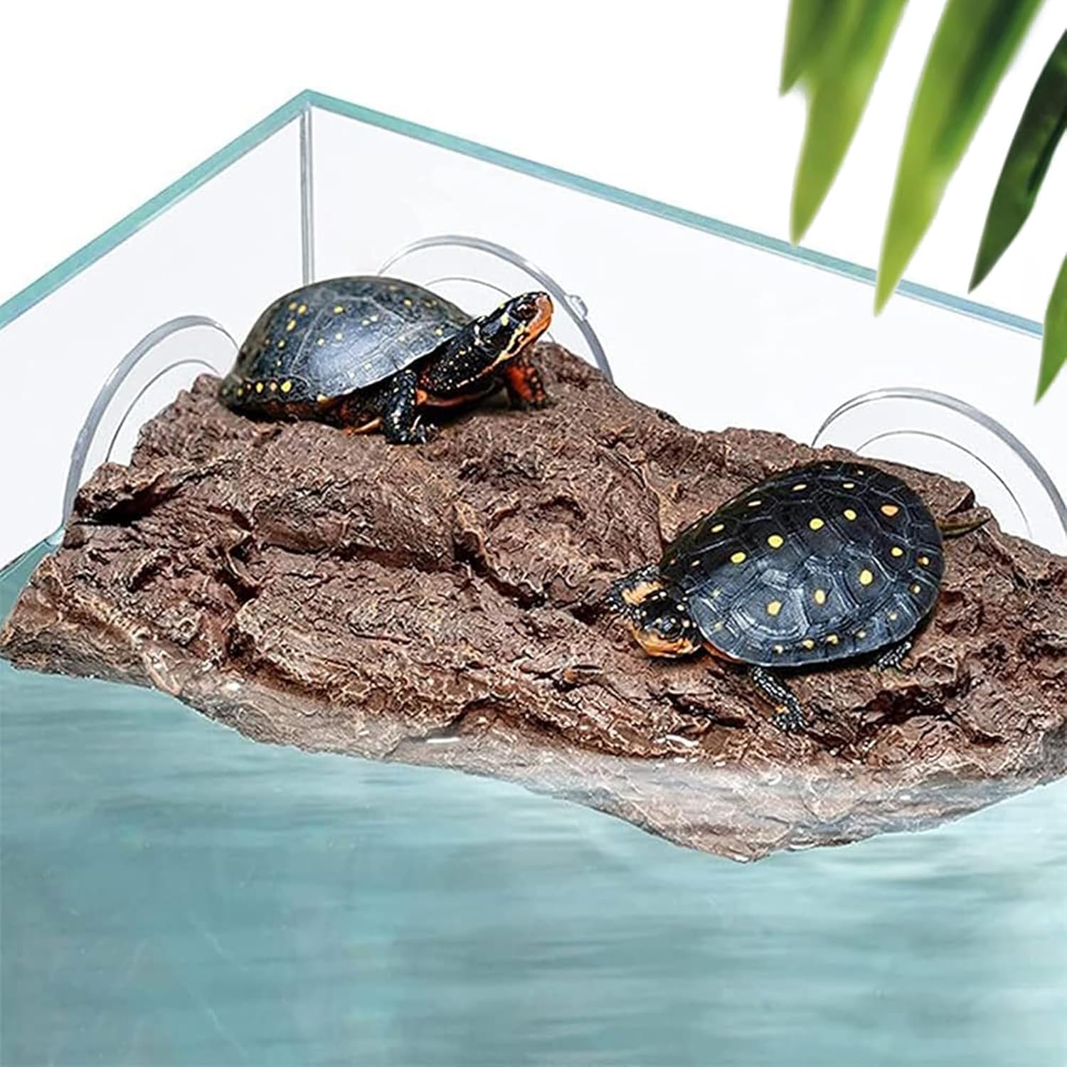 Turtle Basking Platform with Suction Cups,Floating Dock for Aquatic Turtles Tank,Basking Rock Resting Terrace for Terrapins,Tortoises - Aquarium/Reptile Tank Accessories Decor(Brown)