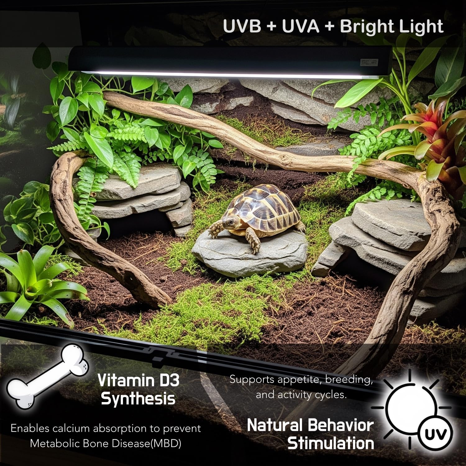 Upgraded T5 UVB Reptile Light, 10.0 UVB 24W German Made Fluorescent Lamp and Fixture Kit, for Desert-Dwelling Reptiles, Bearded Dragon UVB Lamp Bulb