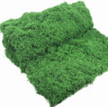 Artificial Green Moss Mat for Decoration Carpet Grass Wall, Natural Decorative for Plants Indoor with Base Fabric, Artificial Moss Mat Suitable for DIY (19.68 * 39.37 inch/0.5 * 1m)