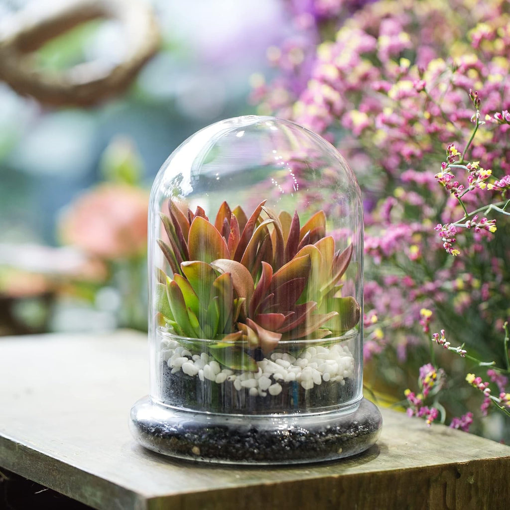 NCYP Small Clear Decorative Glass Terrarium Cloche with Air Hole - 4.7 x 4.7 x 6.3 Inches Glass Dome with Base for Miniature Succulents - Display Storage (No Plants Included)