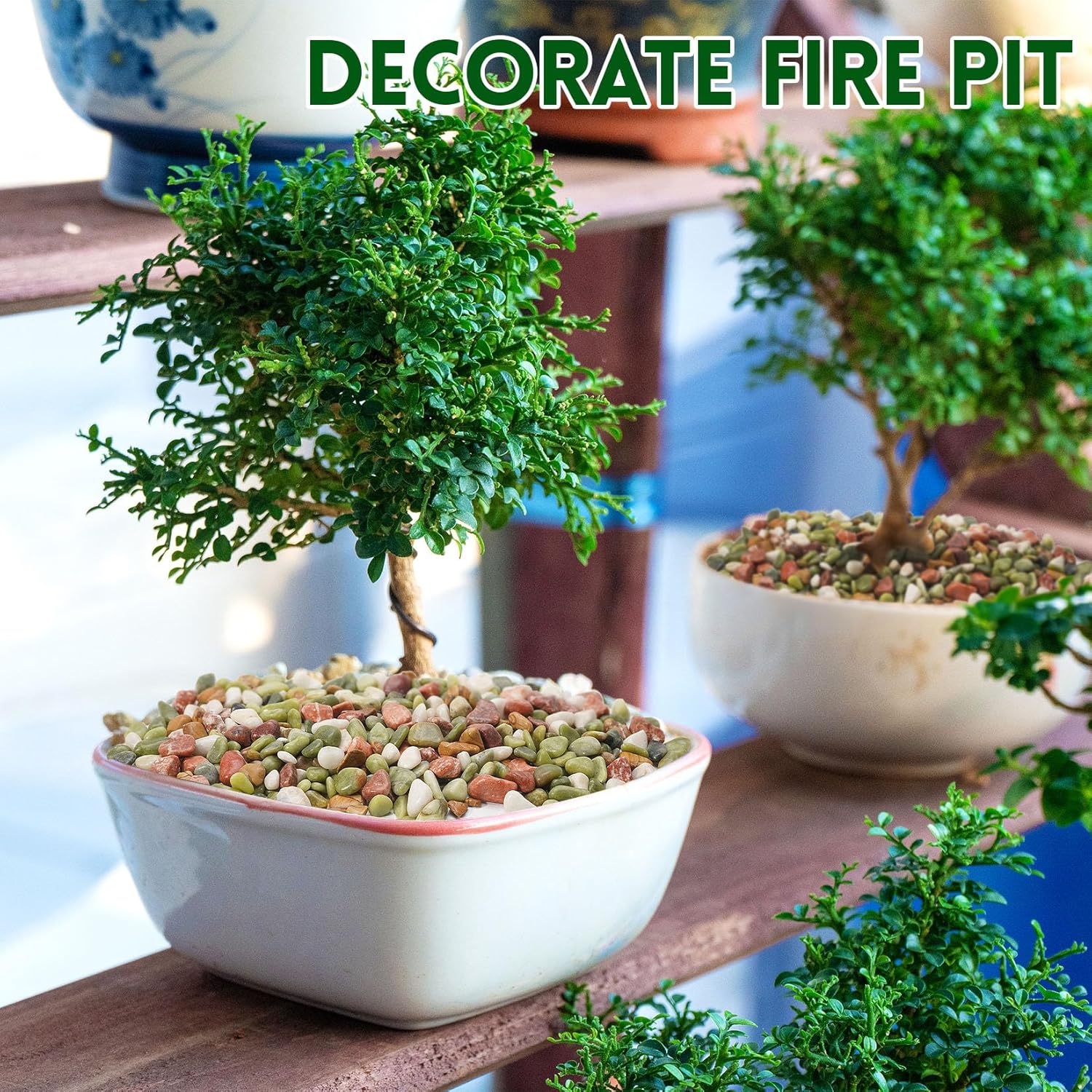 5 lb Pebbles for Indoor Plants, 1/2 Inch Decorative Rocks for Potted Plants, Natural Polished Pebbles for Vases, Succulent, Planters, Landscaping Drainage and Outdoor Gardening