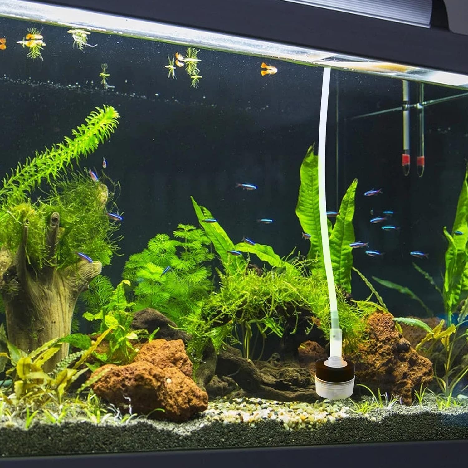 4PCS Air Driven Bio Filter Sponge Aquarium Filter, Bio Sponge Filter, Aqua Flow Sponge, Air Pump Driven, for Breeding Fry Betta Shrimp Fish Tank Aquarium