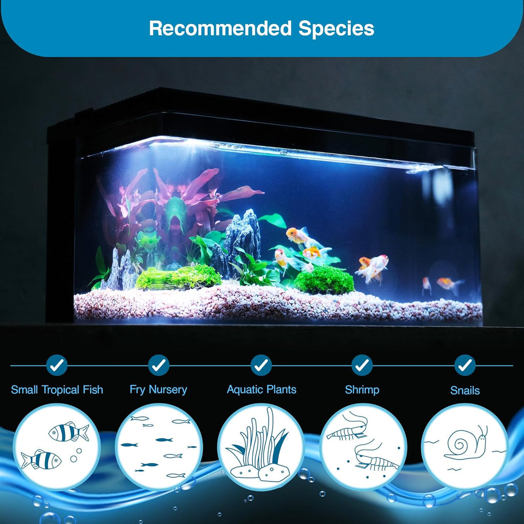 Harmony Aquarium Tank Deluxe by Clairnara – All-in-One 8 Gallon Freshwater Fish Tank with LED Light, Quiet Pump, Patented Filtration, and Special Wood Grain Toplid – iF Design Award Winner