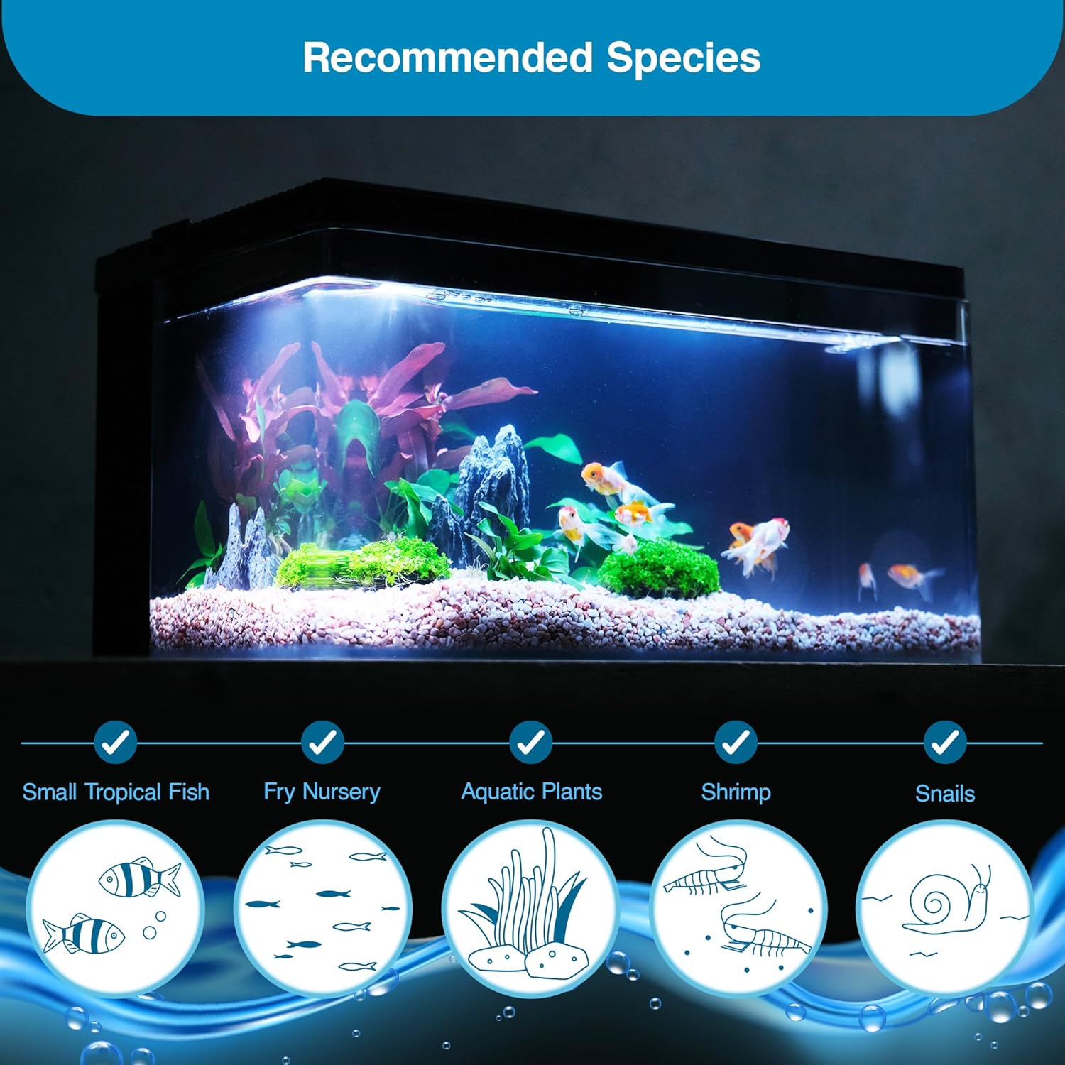 Harmony Aquarium Tank Deluxe by Clairnara – All-in-One 8 Gallon Freshwater Fish Tank with LED Light, Quiet Pump, and Patented Filtration – iF Design Award Winner