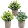 THE BLOOM TIMES Set of 3 Small Potted Artificial Plants Plastic Fake Greenery Faux Plants in Pots for Rustic Home Office Desk Farmhouse Bathroom Kitchen Indoor Decor
