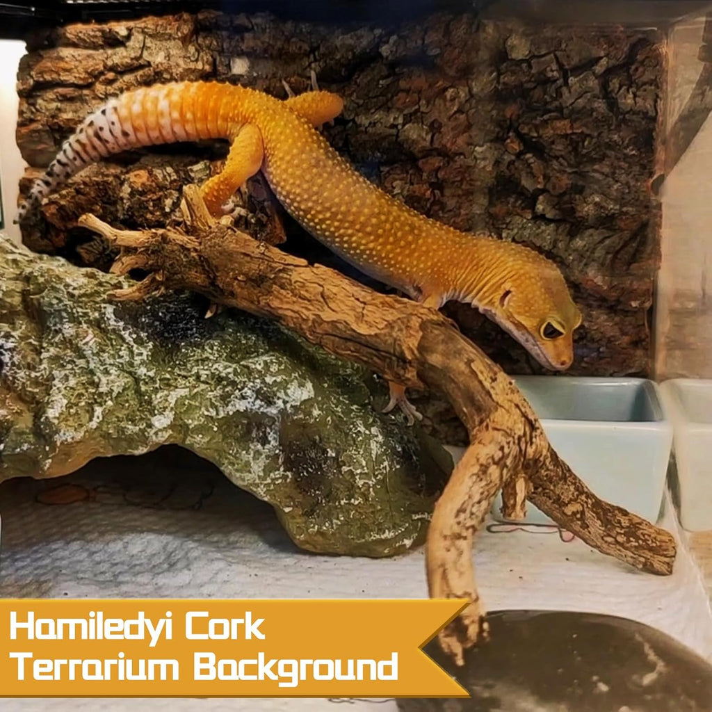 Hamiledyi 6PCS Cork Terrarium Background 15.7x11.8in Natural Large Cork Bark Backdrop Reptile Climbing Mat Tank Habitat Decor for Spider Lizard Chamelon Turtle Beared Dragon