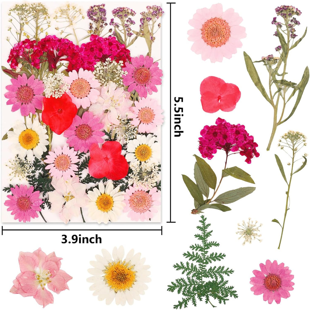 NESCCI 35 Pcs Dried Pressed Flowers for Resin,Real Nature Dried Flowers for Crafts Bulk Dry Flowers Leaves Kit Used for Resin Molds Scrapbooking DIY Art Crafts Candle Soap Making Nails Décor