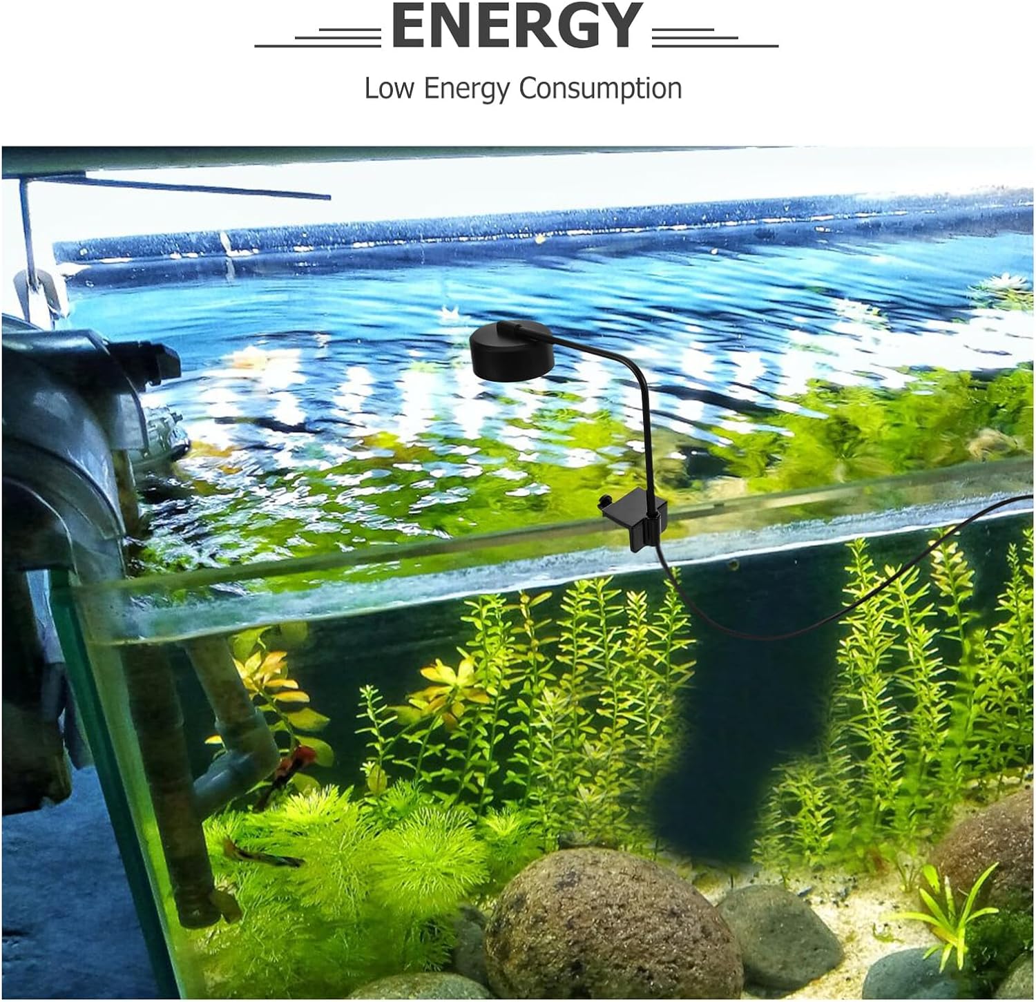 COHEALI Mini Aquarium LED Light USB Powered Small Fish Tank Lamp with Switchable Blue and White Illumination for Versatile Aquarium Lighting