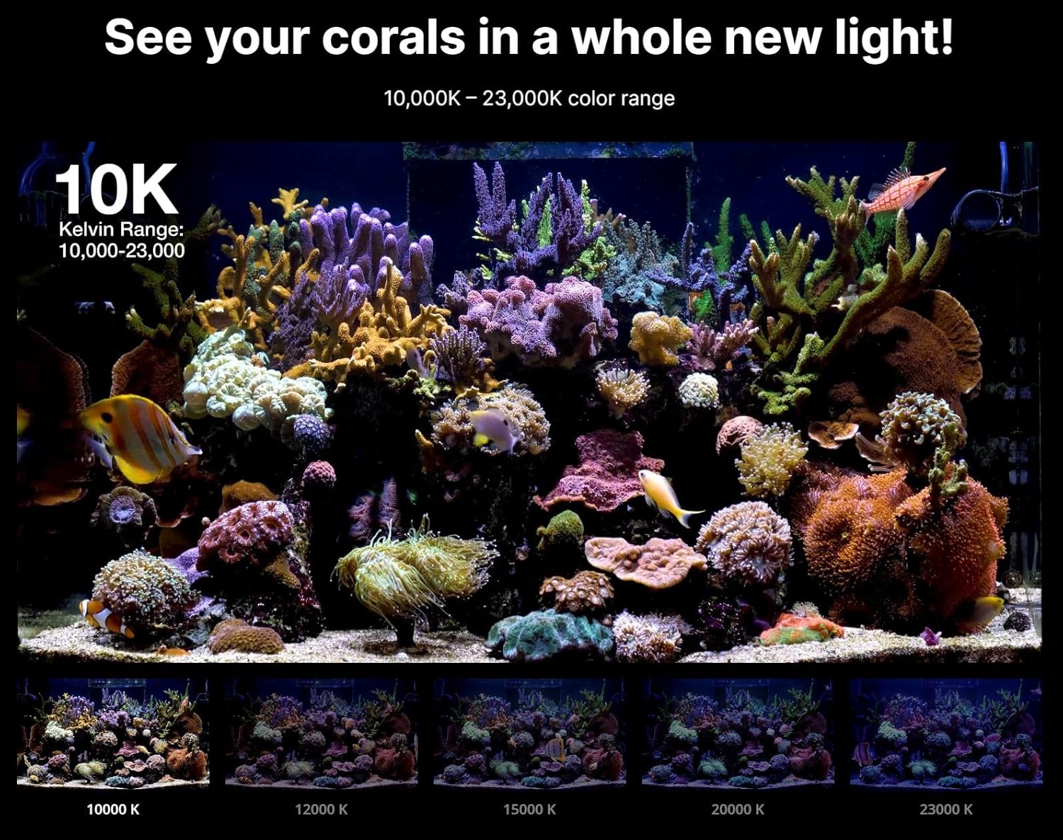 Red Sea ReefLED G2 115 Watt Saltwater Aquarium Light Reef | ReefBeat App Controlled for Fish Tank LED Lights for Corals Reef Marine