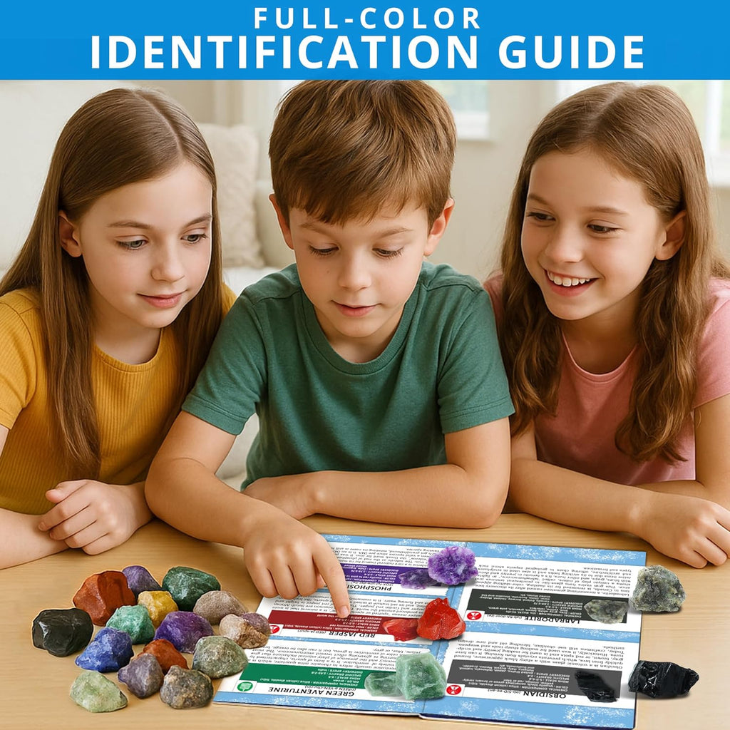 Jumbo Rock Collection Kit - 20 Pcs Large Unpolished Rocks, Minerals & Crystals (1.5-2 inch) with 54 Game Cards, Learning Book, Collector Box & Magnifier - Educational Rock Lover Gift for Kids 6+