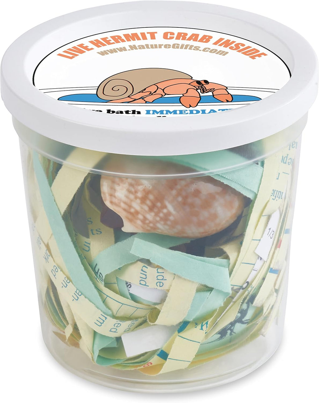 2 Live Crabs Ship with Order+Large Hermit Crab Tank 12"x8"x6" Starter Kit with Accessories: Food, Shells, Climbing Toys and More