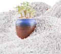 45lb White Cactus Pea Gravel Rocks,1/4 Inch Pebbles for Indoor Plants, Natural Succulent Rock and River Rocks Decorative for Aquariums, Vases, Outdoor Gardening, Top Dressing for Potted Plants