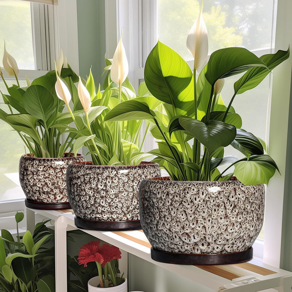 SQOWL Ceramic Planter - 8 inch Plant Pot Indoor with Drainage Hole and Plant Saucer, Round Ceramic Flower Pots Outdoor, Decorative Modern Planter, Office Kitchen Decor, Gifts for Women Men, White