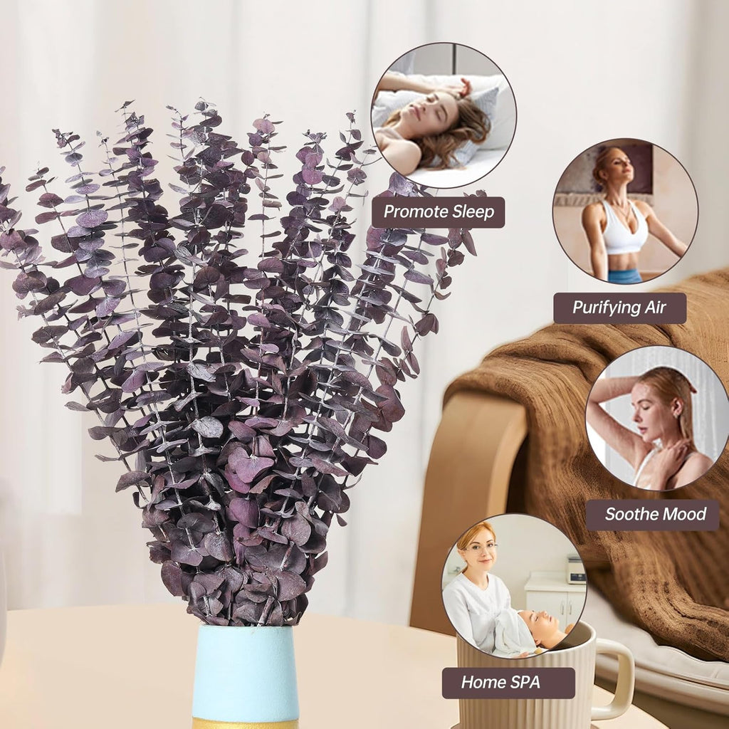20 Pcs Dried Eucalyptus Stems, 17'' Natural Real Live Purple Eucalyptus Leaves Branches Hanging Shower, Preserved Dried Plants for SPA Home Fragrance Bathroom Table Vase Decor