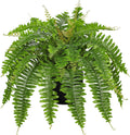 Hollyone Artificial Fern Plants in Pot 25.5" Artificial Boston Fern 31 Leaves for Outdoors & Indoor Faux Potted Plant Fake Ferns Bush Plant for Patio Garden Farmhouse Porch Home Decor Green