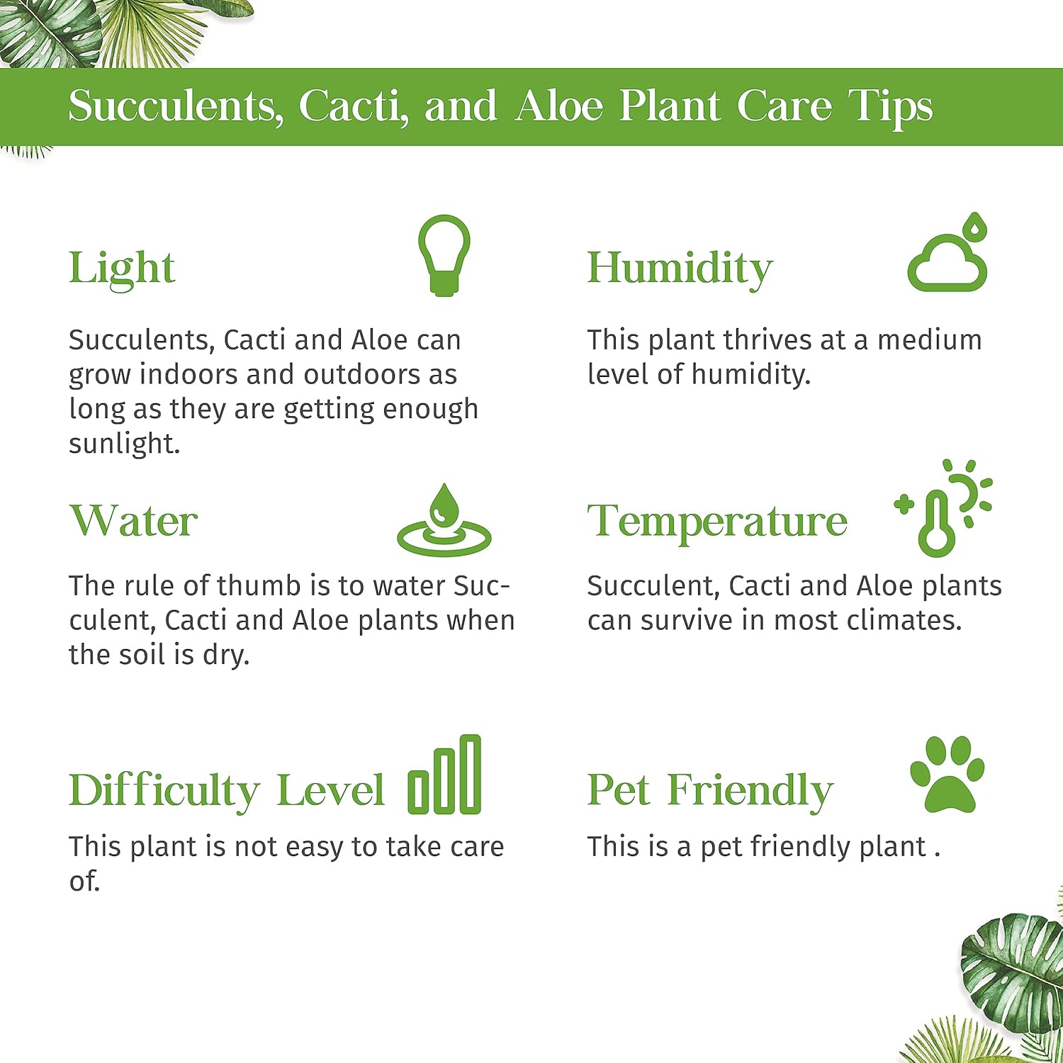 Succulent String of Pearls Live Plant for Indoor | Different Houseplants in 4'' & 6'' Pot | Real House Plant for Living Room, Office, Desk & Bathroom | Senecio rowleyanus