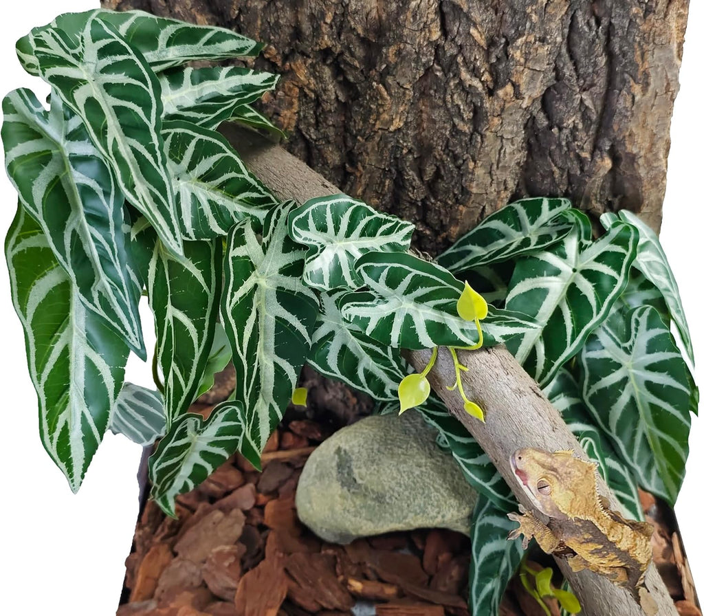 Woyrise 2 Pack Reptile Plants, Terrarium Hanging Plant Vines, Artificial Leaves with Suction Cup, Bearded Dragon Tank Accessories for Gecko Lizard Snake Frog Tortoise Decorations - Alocasia Velvet