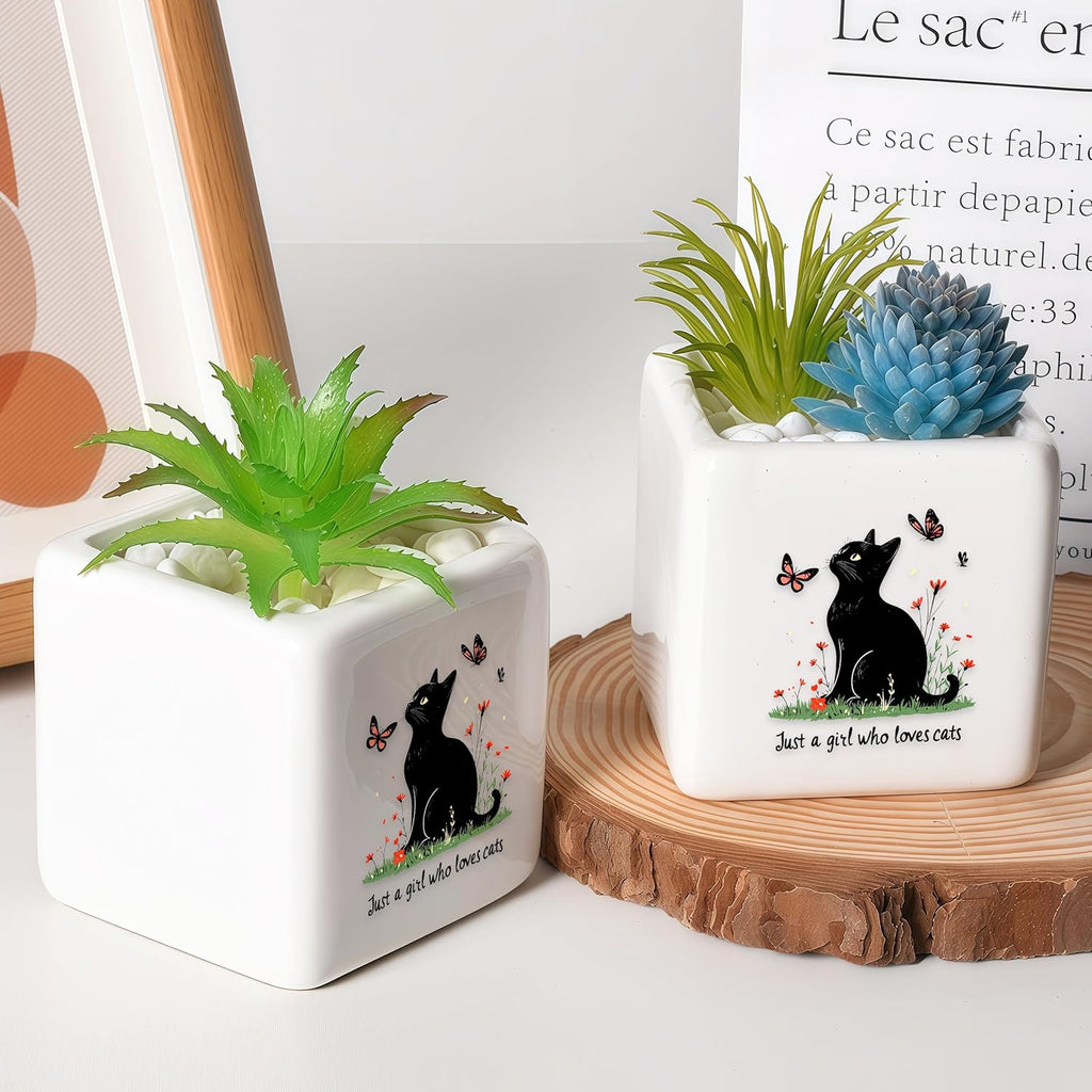 Black Cat Succulent Planter Flower Plant Pot Small, Gifts for Women Teens Girls Kids, Cat Lovers Themed Stuff Accessories Things Decor Merch, Home Office Table Desk Decoration!