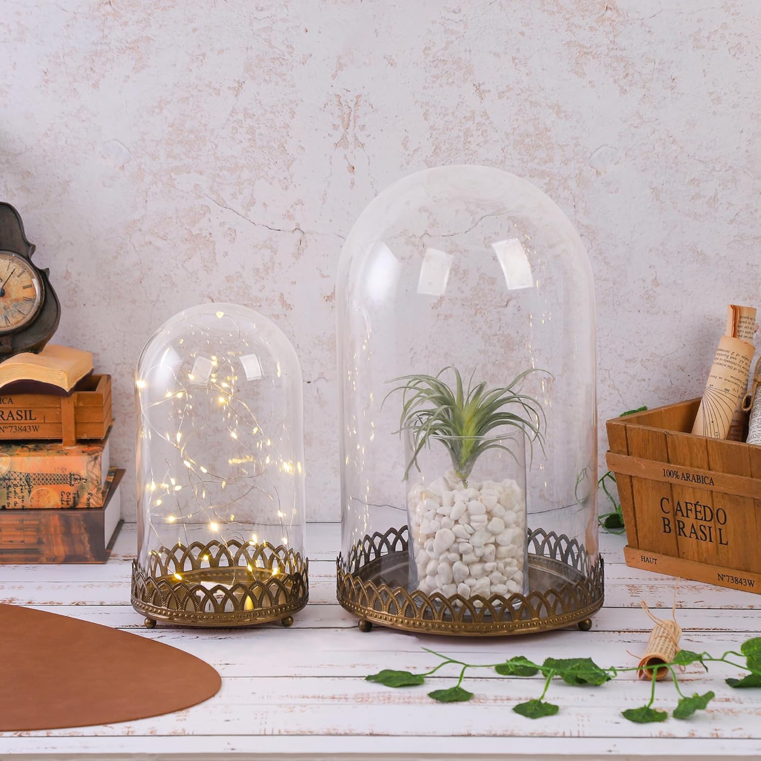 10" Tall Glass Dome with Metal Base in Antique Bronze for Terrarium, Plants, Trinkets, Cakes, Figurines, LED Light String, Candle. Cloche Glass Dome, Bell Jar Display Case, Mantle Place (1, 5.5"x10")