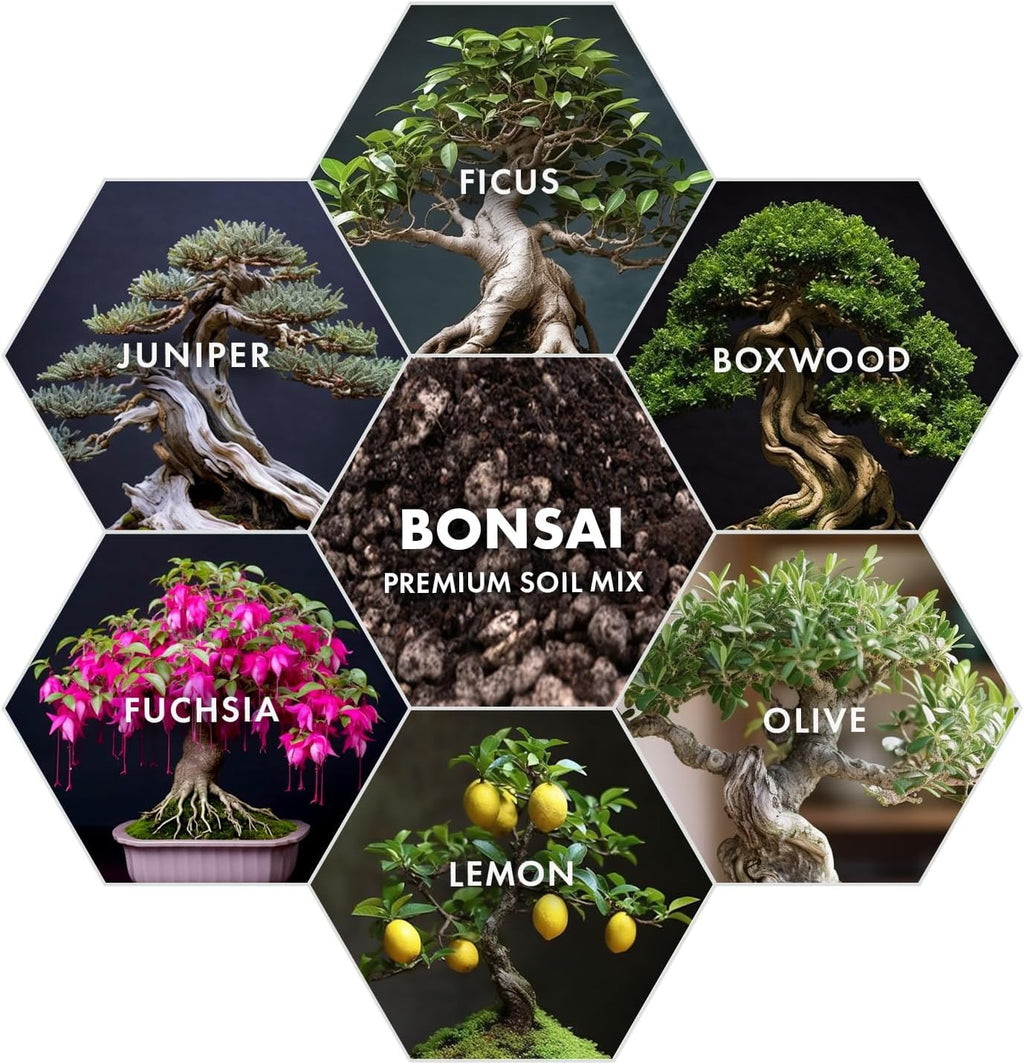 Premium Bonsai Soil Mix for Thriving Indoor Bonsai Trees - Perfect Potting Soil for All Bonsai Varieties - Organic Blend for Optimal Growth - Indoor Plant Soil - 4 Quarts