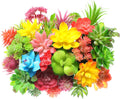 Jutom 32 Pieces Mini Artificial Succulents Unpotted Realistic Colorful Faux Succulents Small Cactus Plants for Garden Flower Kitchen Home Decor