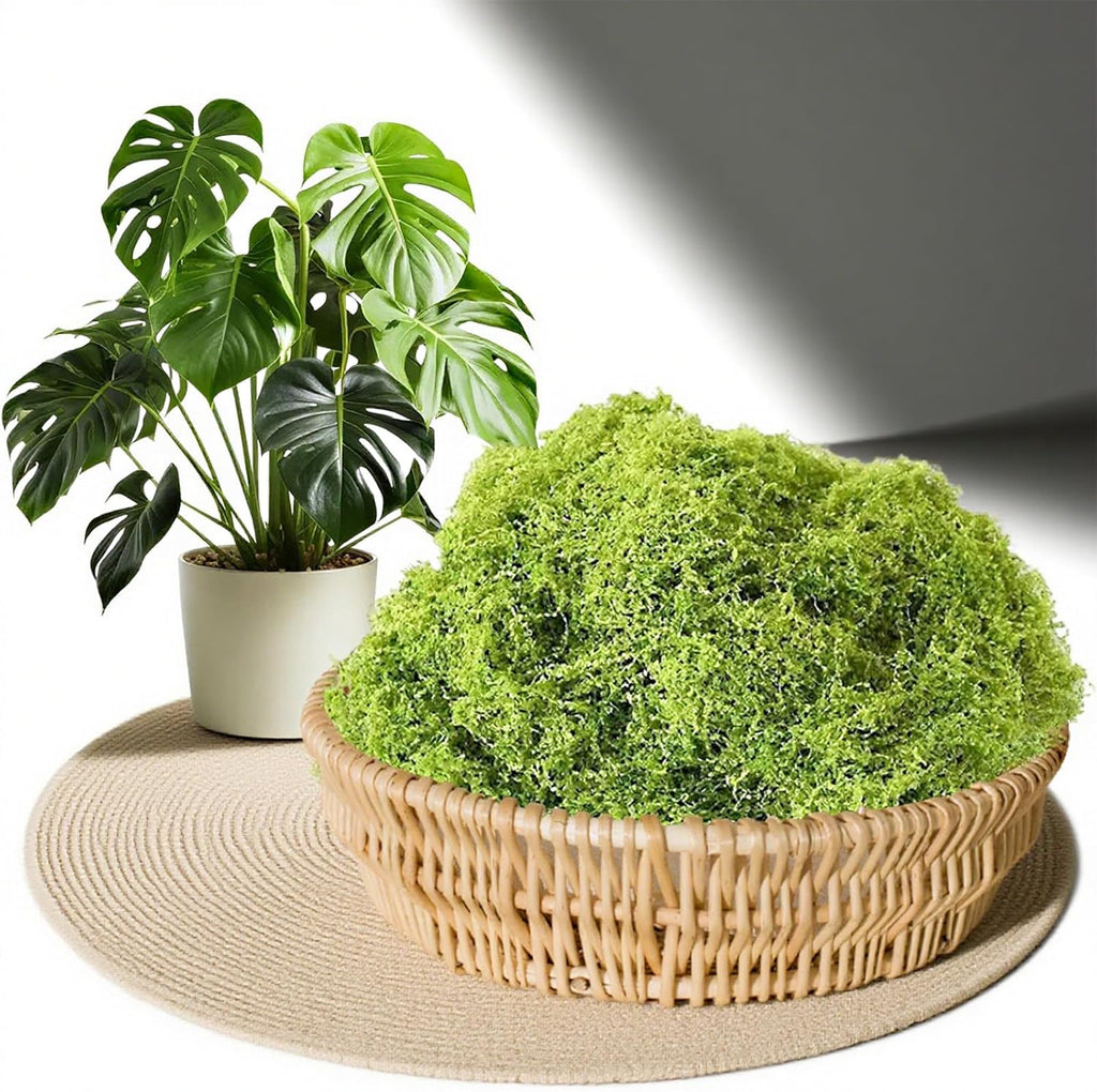Artificial Faux Moss, 3.52 oz Fake Moss for Crafts Preserved, Artificial Moss for Crafts, Artificial Moss for DIY Scenery, Fake Moss Decor Decorative Table, Fairy Garden, Floral Wedding