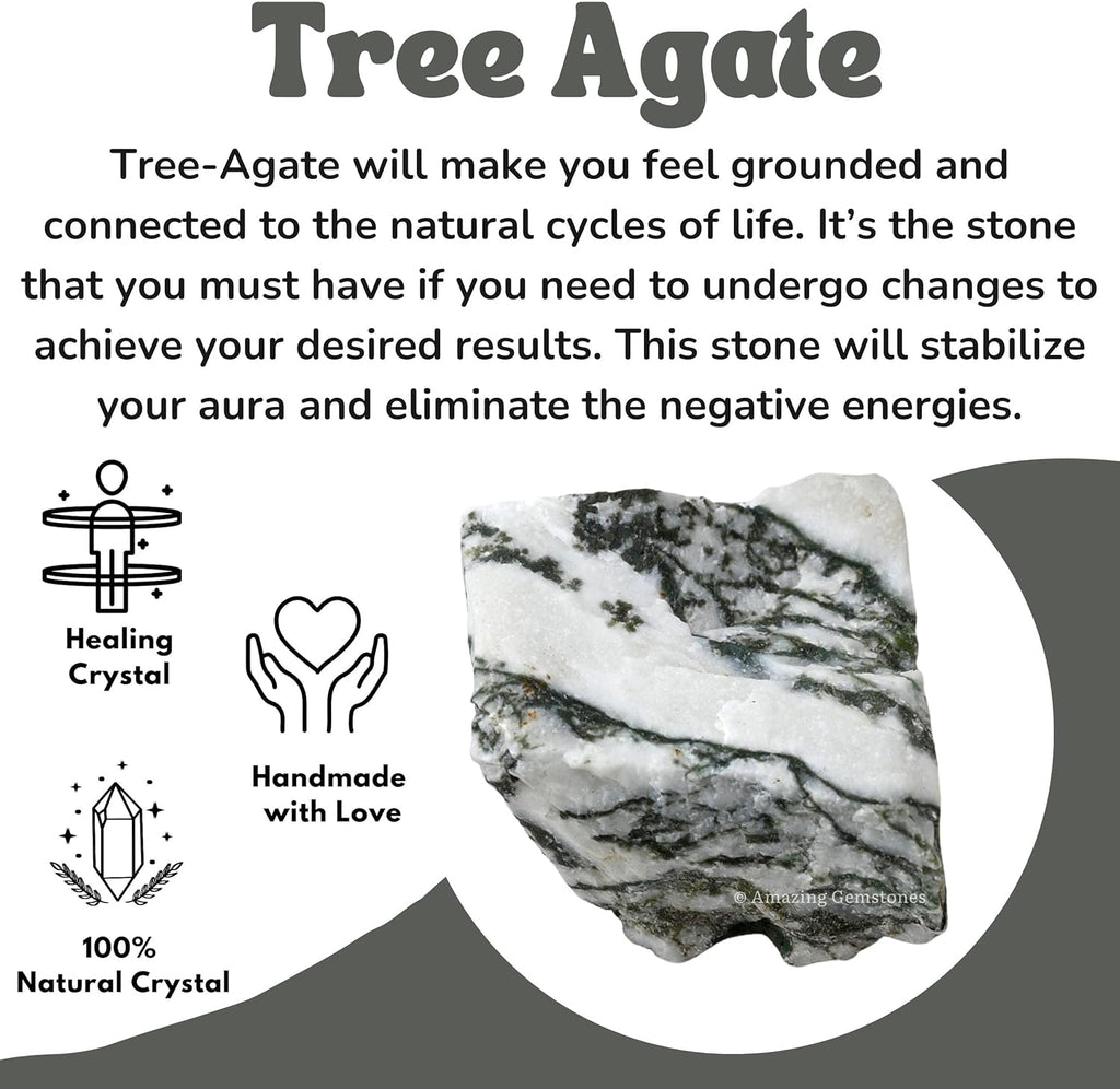 Amazing Gemstone 2 Pieces Tree Agate Raw Crystals and Healing Stones, Natural Rocks for Tumbling and DIY Raw Stones and Crystals
