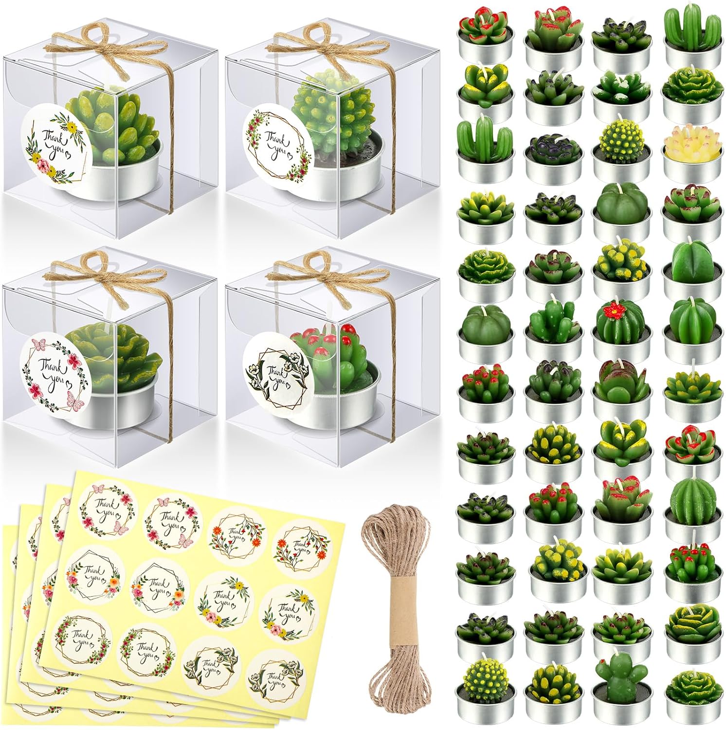 MTLEE 48 Sets Cactus Tealight Candles Delicate Succulent Cactus Candles Mini Candle Plant Party Favors Gifts for Christmas Baby Shower Fiesta Birthday Anniversary Celebration Wedding Party