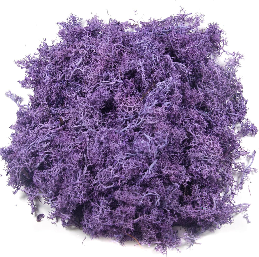 3.5 oz Artificial Moss for Plants Indoor, Fake Moss Preserved Reindeer Moss for Centerpieces Decor,Faux Moss for Moss Decor Home Decor Potted Plants Crafts Wedding Wall Decor(Purple)