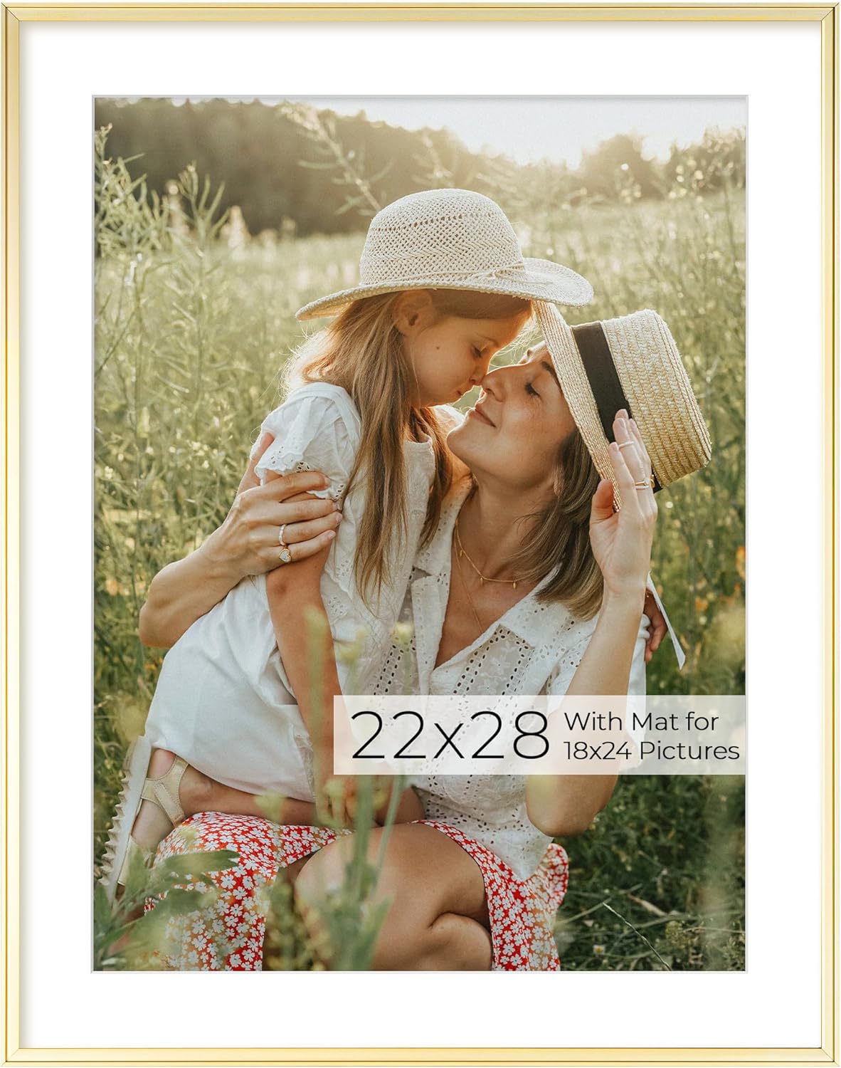 RICHFOCUS Aluminum Picture Frame - 22x28 Gold Metal Frame with Mat for 18x24 Photo, Floating Frame with Tempered Glass - Poster Frame Wall Hook Included for Gallery Wall