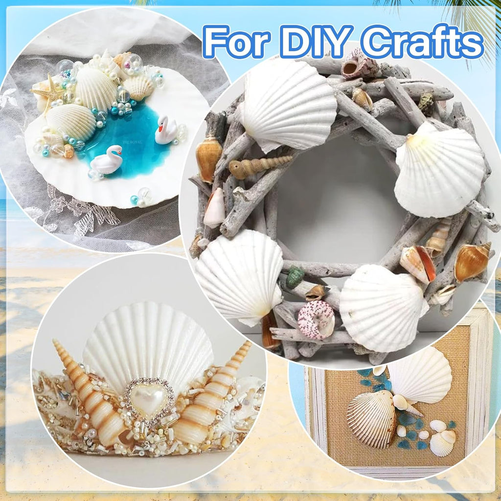 18PCS White Large Scallop Purely Natural Seashells 4-5in and Medium Shells 2-3in for Crafting, Scallop Shells Bulk for Beach Wedding Decorations, Ocean Seashell Party Decorations, Cooking or Painting