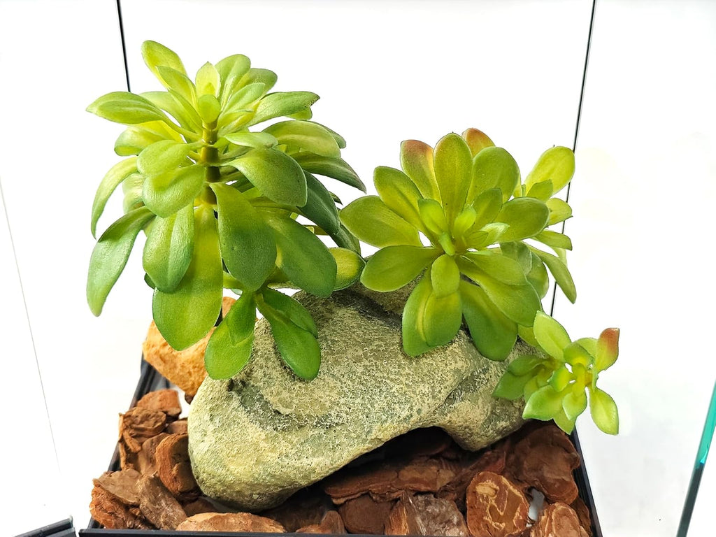Woyrise Reptile Plants Succulent, Artificial Desert Plant for Terrarium Decor, Bearded Dragon Tank Accessories fit Gecko Lizard Chameleon Ball Python Snake - Sedum Palmeri