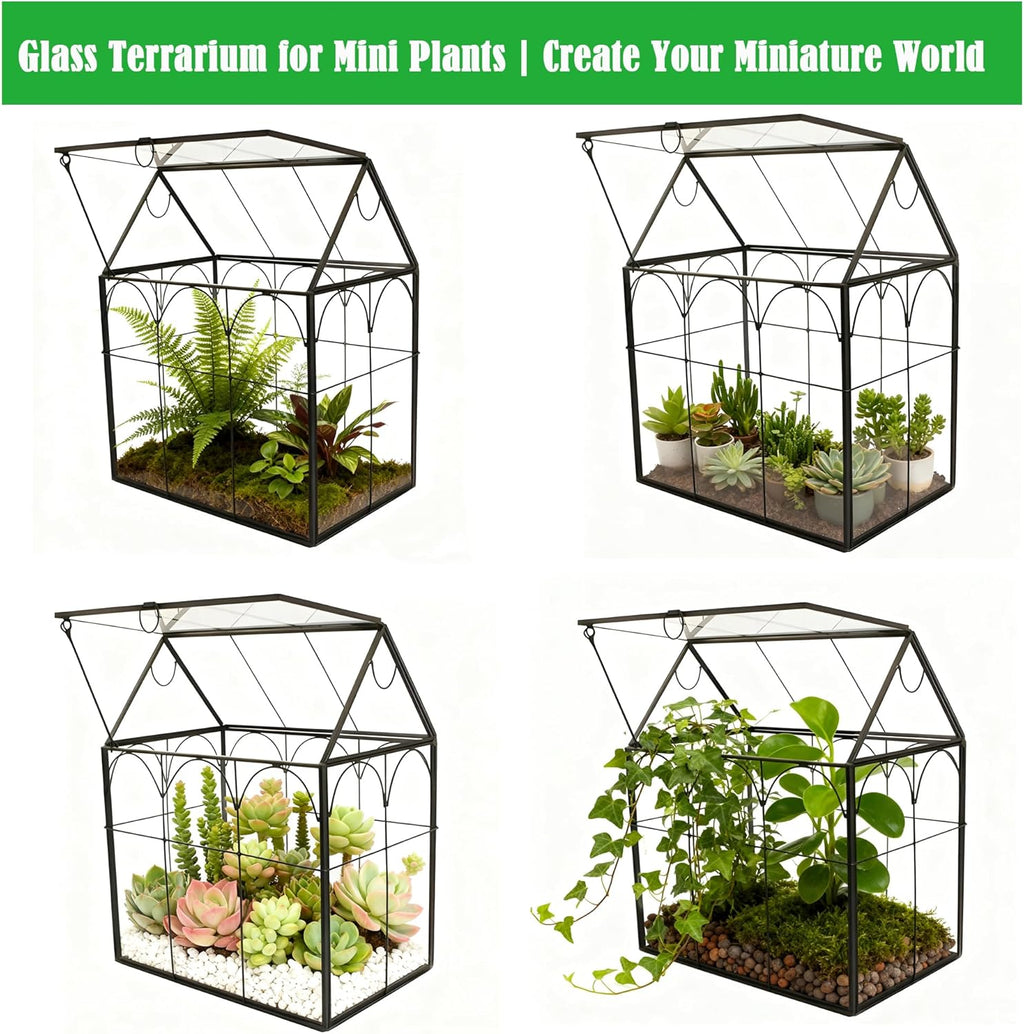 ELEGANTLIFE Glass Geometric Plant Terrarium,Succulent & Air Planter for Home Garden Office Decoration (Black House)