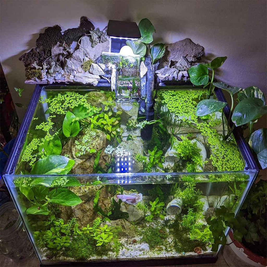 10W Super Slim Aquarium Fish Tank 5730 LED Light Clip-on Lamp Aquatic Plant Lighting (Black Body White+Blue Light)