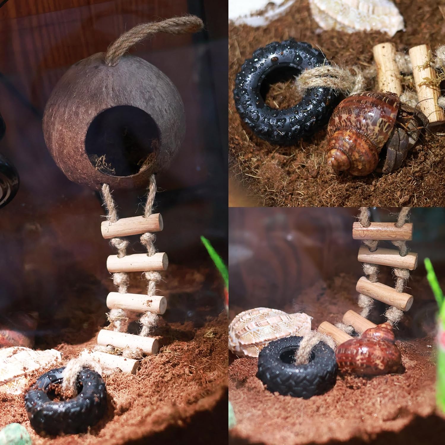 Hermit Crab Coconut Shell Hideout, Leopard Gecko Hide Habitat Cave with Ladder and 2 Sea Shells, Crested Gecko Tank Accessories with Moss for Reptiles,Hermit Crab Climbing Toys,5.3",5PCS