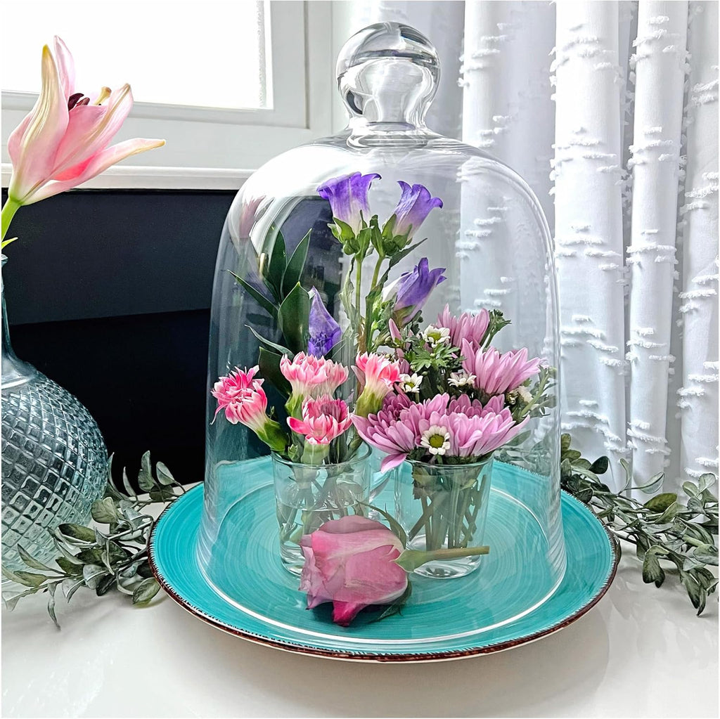 Plymor 8.5" x 11" Bell Jar Glass Display Dome Cloche (Interior Size 8.25" x 9.5")