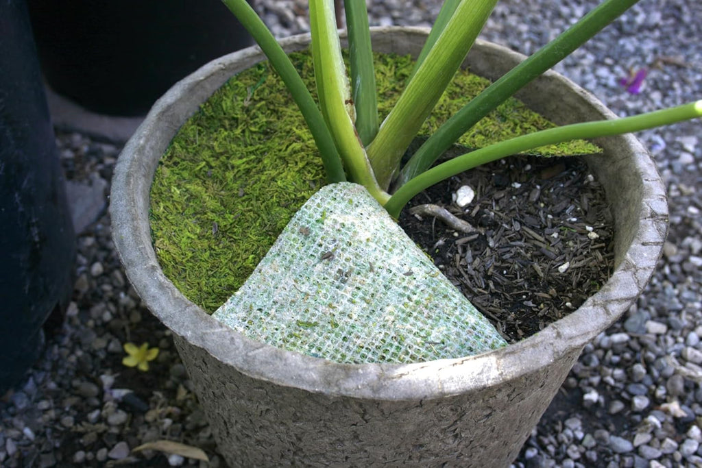 SuperMoss (26325) Moss Soil Toppers (Place Mats), Fresh Green, 16" (3 units)