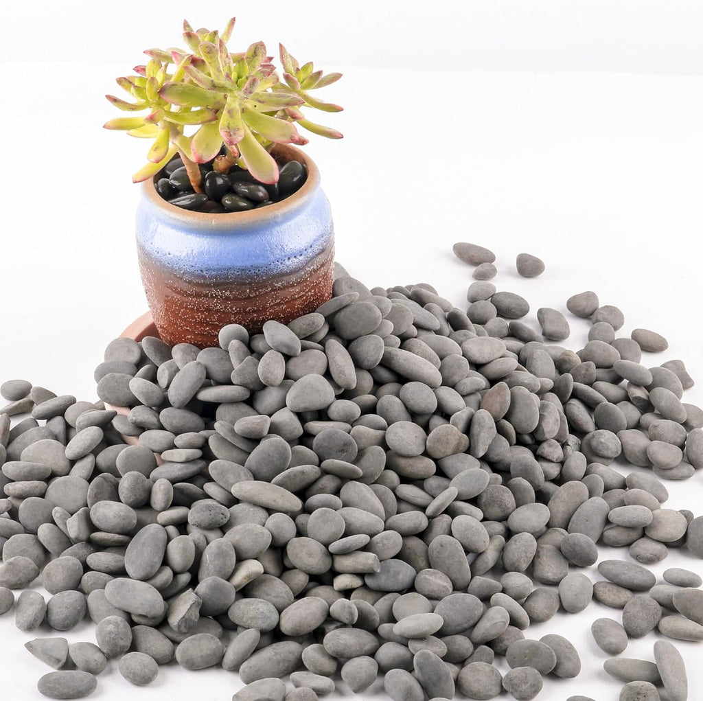 CJGQ Decorative River Rocks for Succulents & Cactus Garden Landscaping - 2.4lb Black Mexican Beach Pebbles for Aquarium & Terrarium