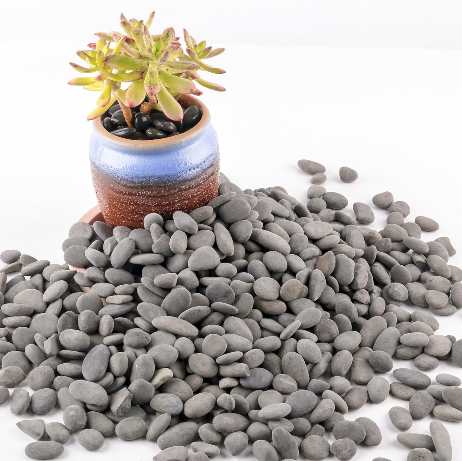 CJGQ Decorative River Rocks for Succulents & Cactus Garden Landscaping - 2.4lb Black Mexican Beach Pebbles for Aquarium & Terrarium