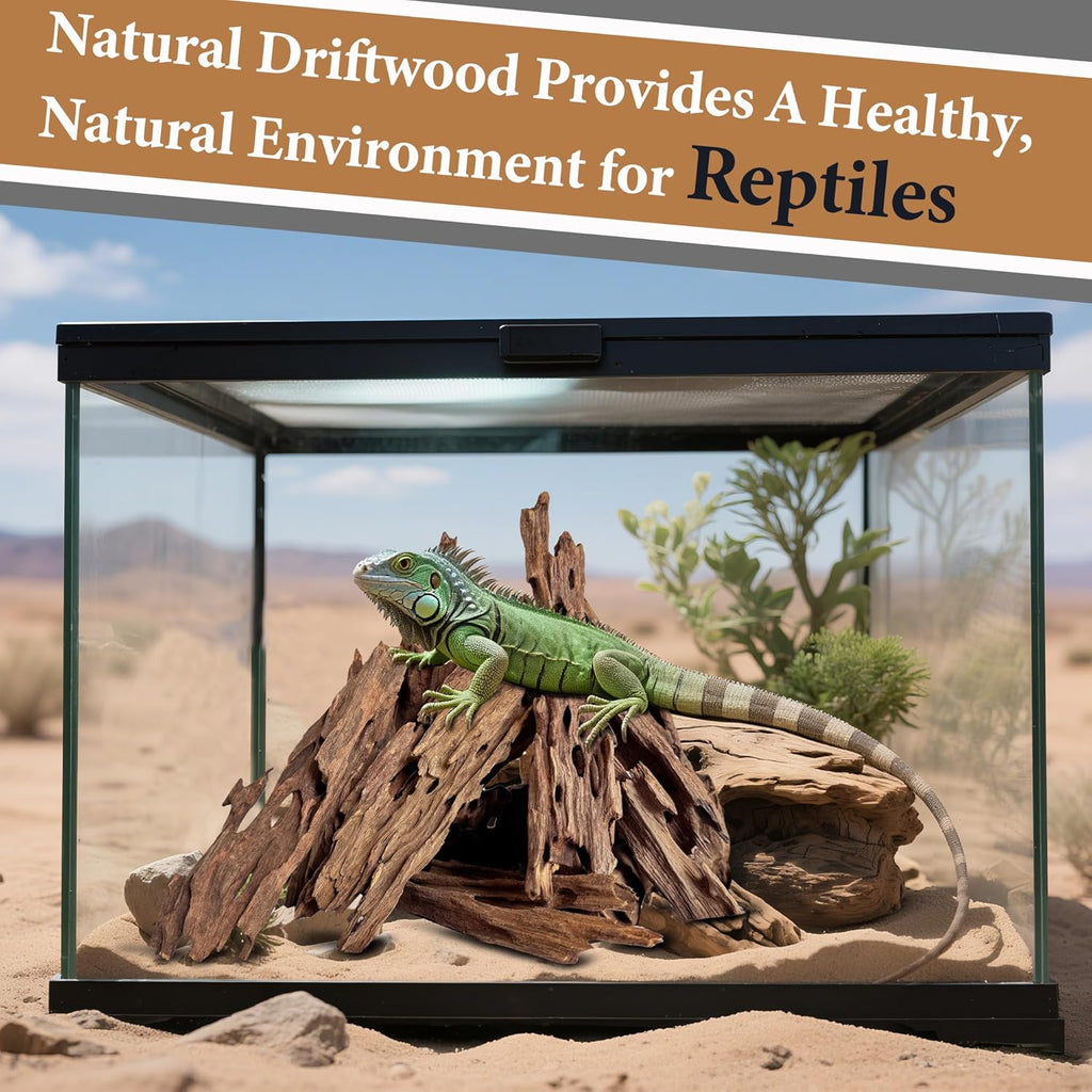 Natural Driftwood Branches for Aquariums&Reptiles-1.5lb,4-12in Length|Ideal for Aquascaping,Reptile Habitat Decor,and DIY Craft Projects (XM-Branches Medium 9 to 12 inch-1.5lb)